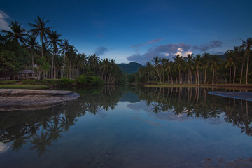 reflection of trees in water
