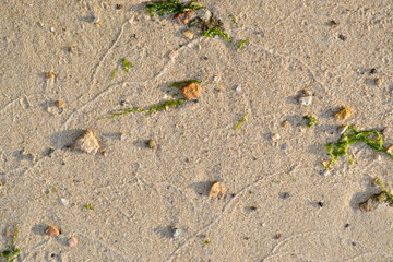 sand on the beach background