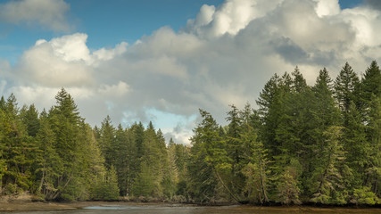 Eld Inlet Along Puget Sound, Olympia, Washington
