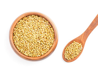 Spice coriander (Coriandrum sativum) in wooden cup and spoon on white. Healthy eating concept