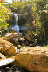 waterfall in forest