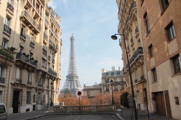 Fototapeta na wymiar Street of Paris by Eiffel Tower