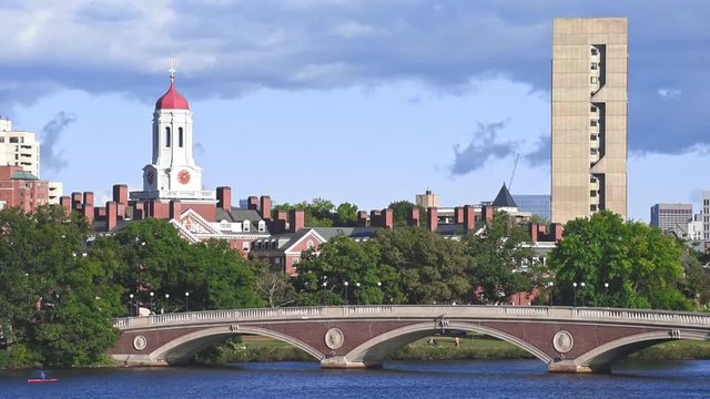Rowing Shell on Charles River in a sunny day. Boston, California