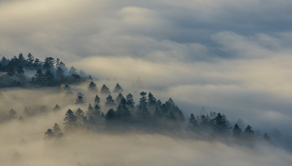 Fototapeta na wymiar Poranne mgły, Trzy Korony