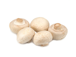 Five raw Champignons on a white background