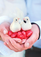 Decoration wedding pigeons in hands