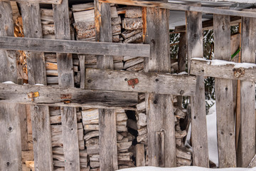 piles of wood for the winter