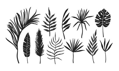 Set of palm leaves silhouettes isolated on white background. Illustration for invitation, banner, greeting card design