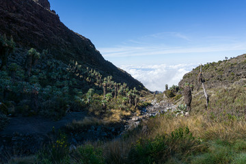 Obraz premium summit of Mount Kilimanjaro (highest mountain of Africa at 5895m amsl) in Tanzania
