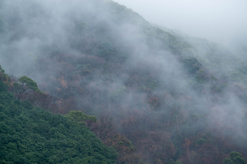 霧のかかった山