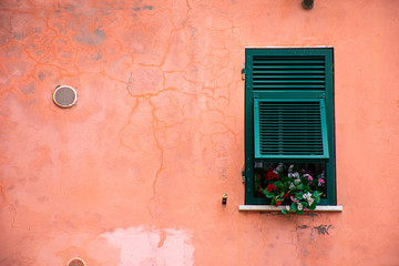 Window with flowers