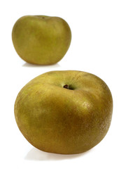 POMME CANADA