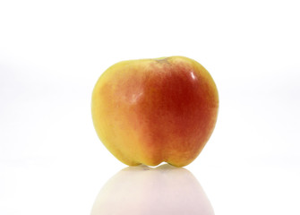 POMME CALVILLE