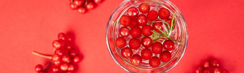 Banner of Tasty cold fresh drink, detox water with viburnum berry, rosemary