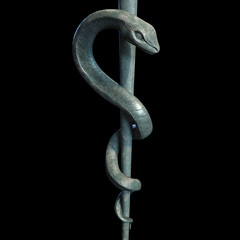 Obraz premium Medical symbol Asclepius