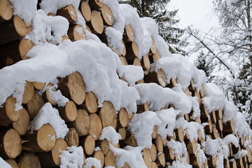 Woodpile. Woodpile under the snow