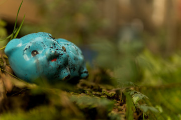 old toy blue pig in a garden 