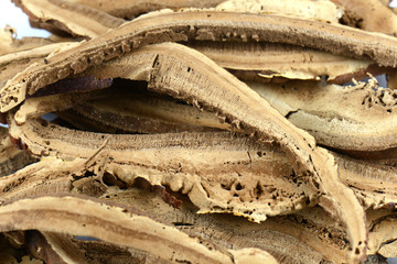Dried lingzhi mushroom ganoderma with perforated moth