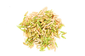 Rice closeup on white background