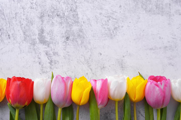 Multicolored tulips in a row against a light gray stucco wall.