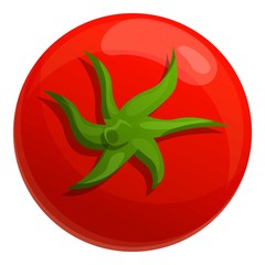 Top view tomato icon. Cartoon of top view tomato vector icon for web design isolated on white background
