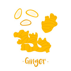 Set, collection of vector cartoon style ginger roots and slices.