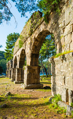 Fototapeta na wymiar Phaselis lycian town ancient aqueduct in Turkey vertical
