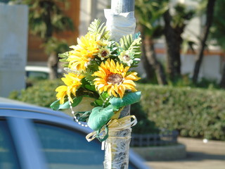 Fiori appesi al palo in memoria delle vittime della strada. Bari, sud Europa