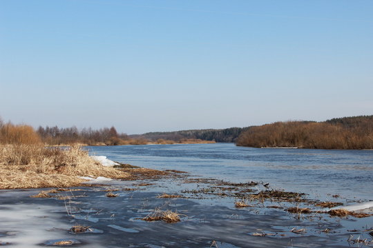 Berezina River Flood In Spring