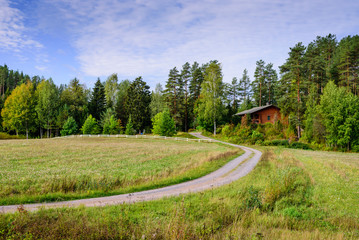 Fototapeta na wymiar Country road in Finland, typical summer landscape