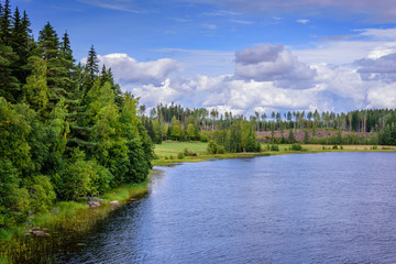 Fototapeta premium Beautiful forest lake in Finland. Traditional Finnish nature, beautiful summer landscape.