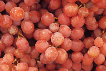 Grapes in the fruit market are very fresh. 