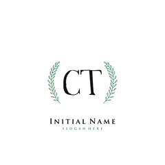 CT Initial handwriting logo vector	