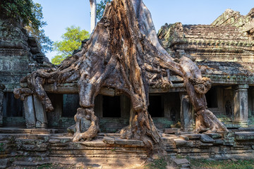 Die Tempelanlage Preah Khan in Kambodscha