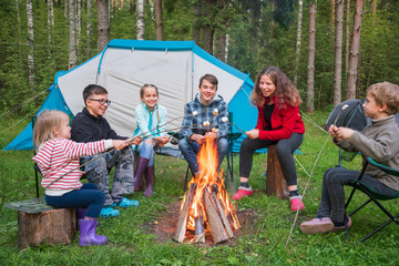 Children roasting marshmallows on camp fire enjoying summer holidays