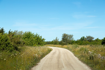 Gravel Road and Trees and Flowers