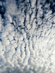 Fototapeta premium blue sky and clouds