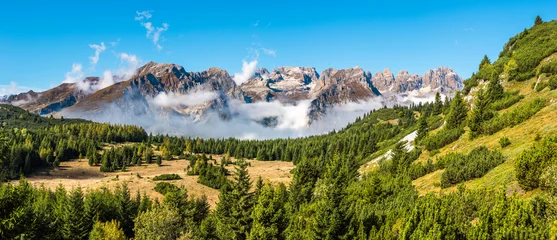 Photo sur Plexiglas Dolomites Beautiful forest park with Brenta mountain range in the background, Dolomites (IT)