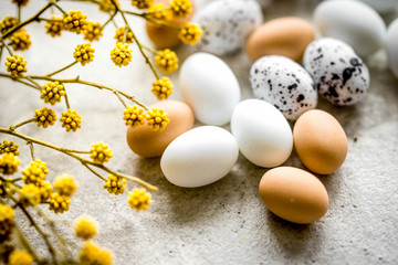 Easter card with eggs and flower on light background