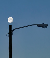 Moon on Lightpole - 319273192