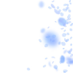 Dark blue flower petals falling down. Cool romanti