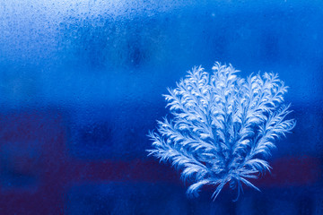 Window Ferns and Frost Flowers. Frozen ice window texture