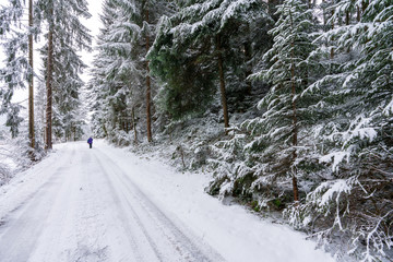 Winterwanderweg im tief verschneiten Wald