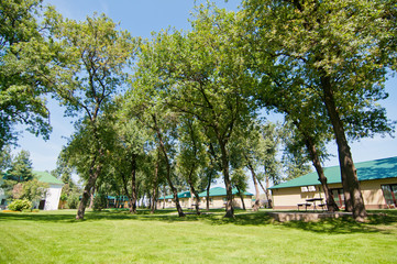 Fototapeta na wymiar large green oaks with high crowns against the blue clear summer sky next to yellow houses and green grass