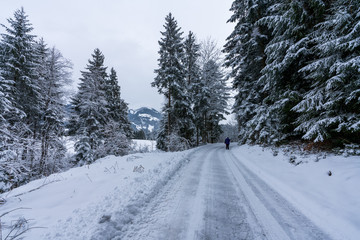 Winterwanderweg im tief verschneiten Wald