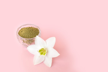natural henna powder and white flower in a female hand on a pink background. Concept female beauty and cosmetology. Eyebrow and hair coloring.