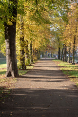 Autumnal view of a park landscape in the center of Leipzig,Saxony in Germany