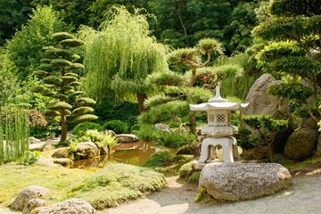 Beautiful decorative japanese garden in summer time - obrazy, fototapety, plakaty