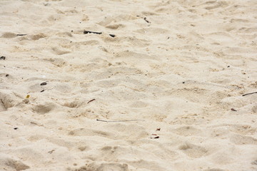 A White Sand On Sandy Beach