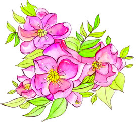 Bush of pink flowers in vector